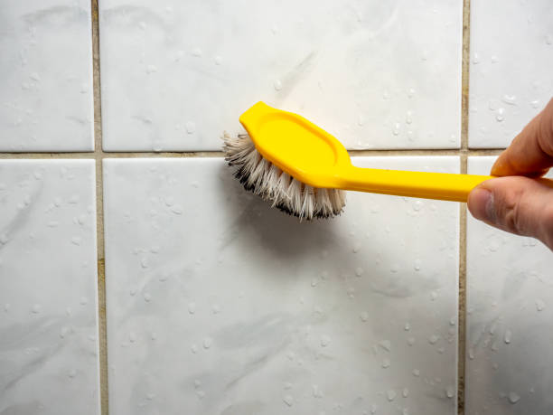 Best Bathroom Mold Remediation in Wabasha, MN